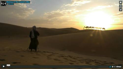 [0:14:00] Making of The Camel's Way