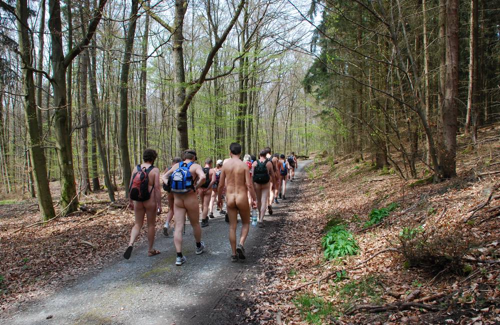 Zur Auftaktwanderung 2008 im Taunus herrschte stabiles Frühlingswetter, und die Sonne erreichte uns fast ungehindert durch das noch sehr dünne Laubdach