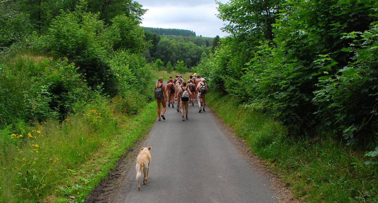 Bild 1: Sattes Frühsommer-Grün begleitete uns auf der Wanderung im Siegerland