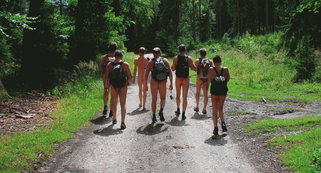 Bild 3: Der Teutoburger Wald bietet überwiegend grob strukturierte und wenig wanderfreundliche Wege