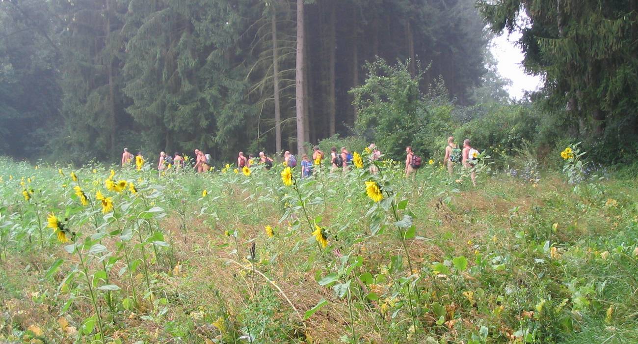 Bild 7: Eine nackte Eifelwanderung - Natur in ihrer schönsten Kombination