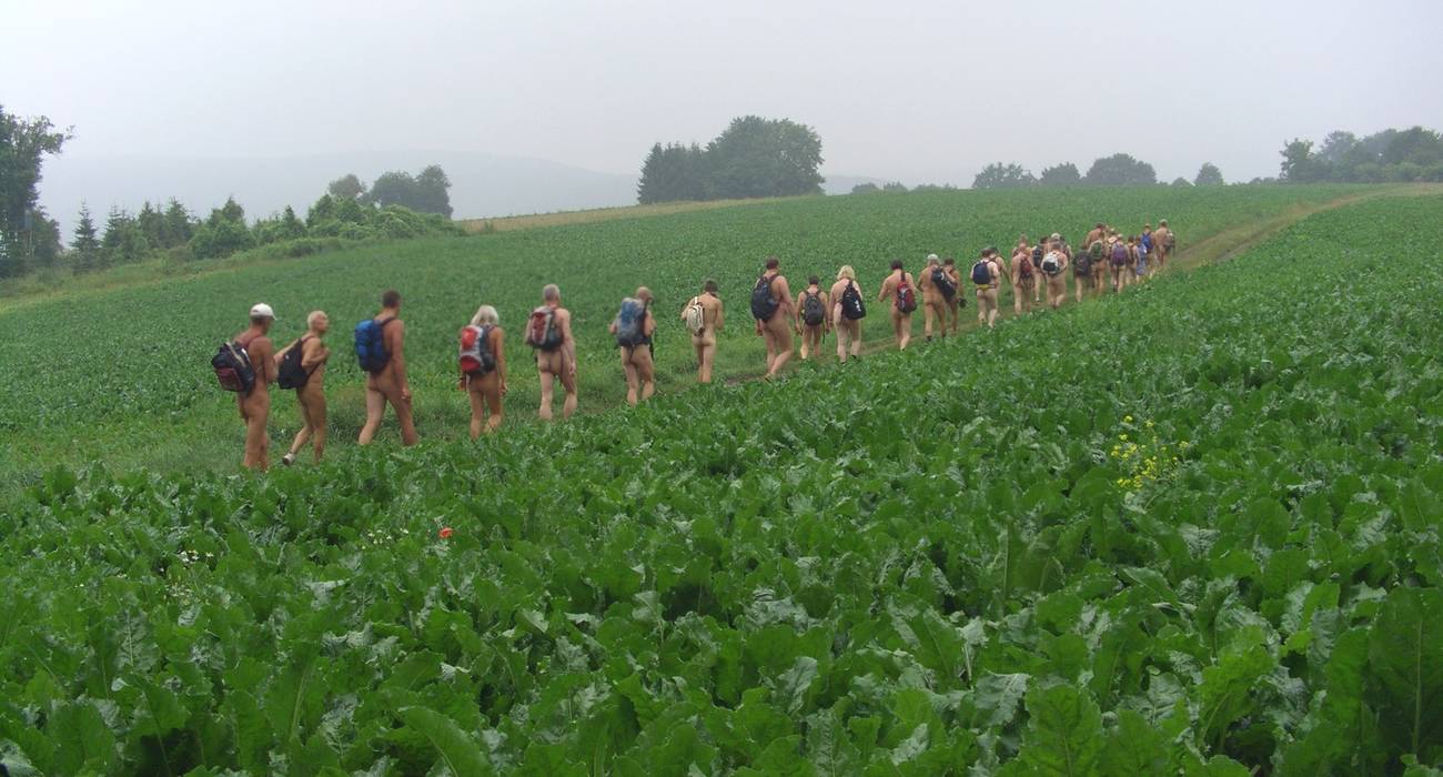 Bild 9: Der Weg führte abwechslungsreich durch Wald und Feld oberhalb des Ahrtals