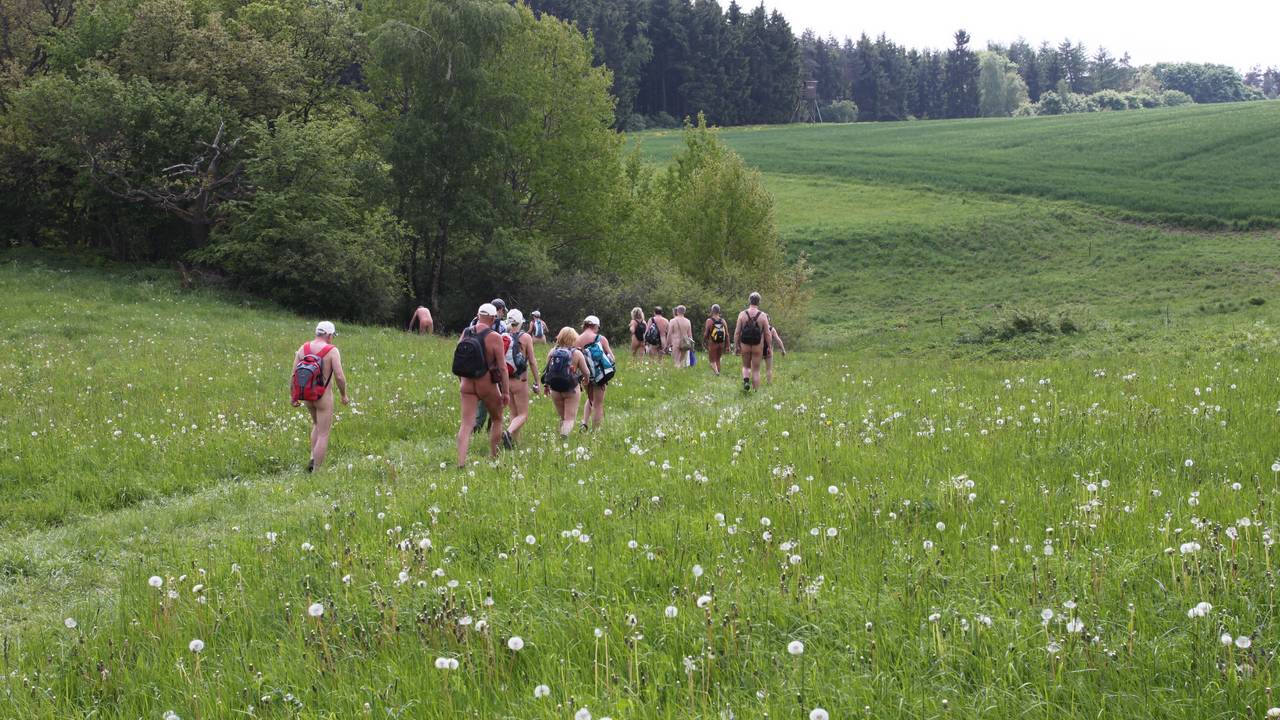 Bild 2: Die Einweihungs-Wanderung führte durch Löwenzahnwiesen, Felder und Wälder