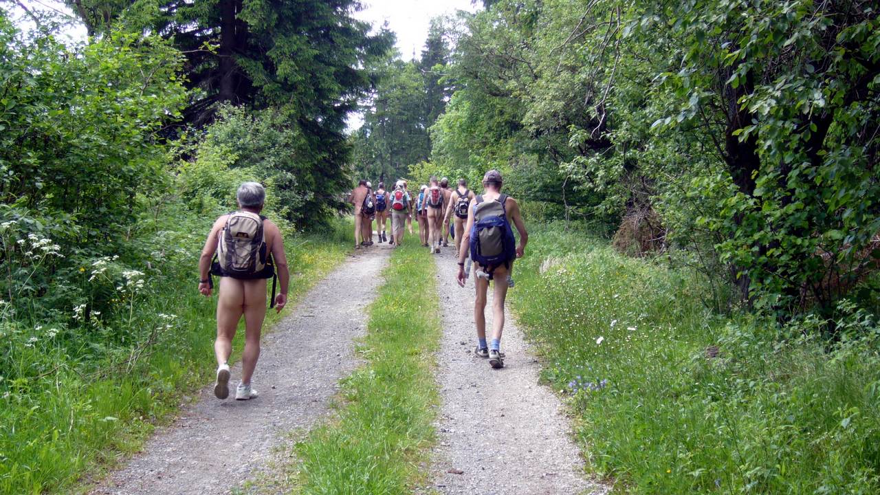 Bild 6: Der Weg zum Sendemast auf dem Heidelstein führte durch waldiges Gebiet