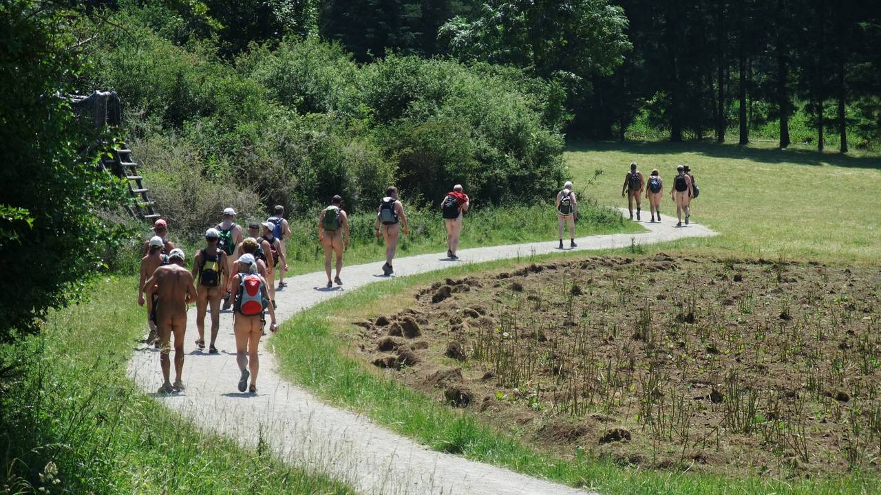 Bild 10: Nacktwanderung am Hessischen Rothaarsteig - auf gewundenen Talwegen