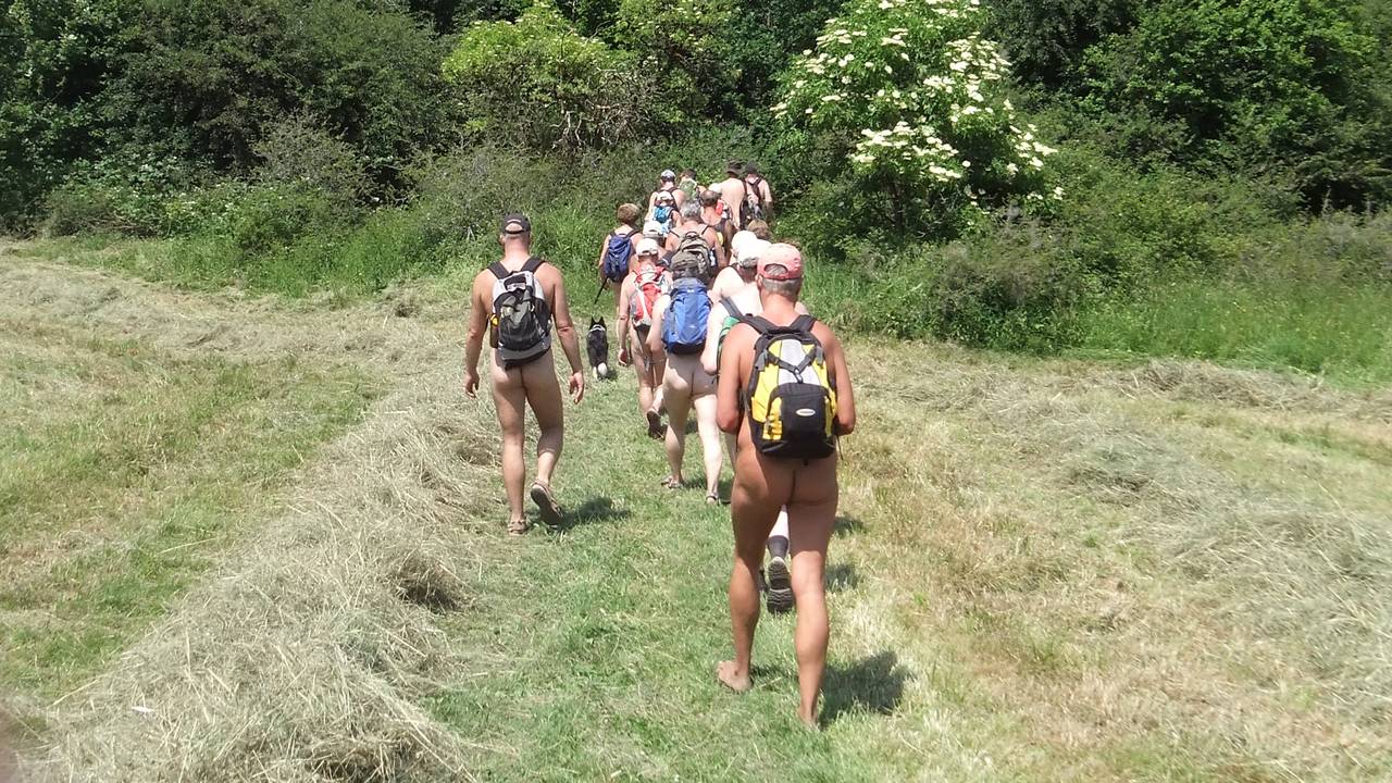 Bild 12: Zwischen Heuwiesen hindurch führt der Pfad in schattigen Wald