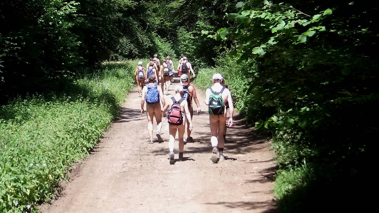 Bild 13: Von wegen schattiger Waldweg - die Sonne steht im Juni sehr hoch