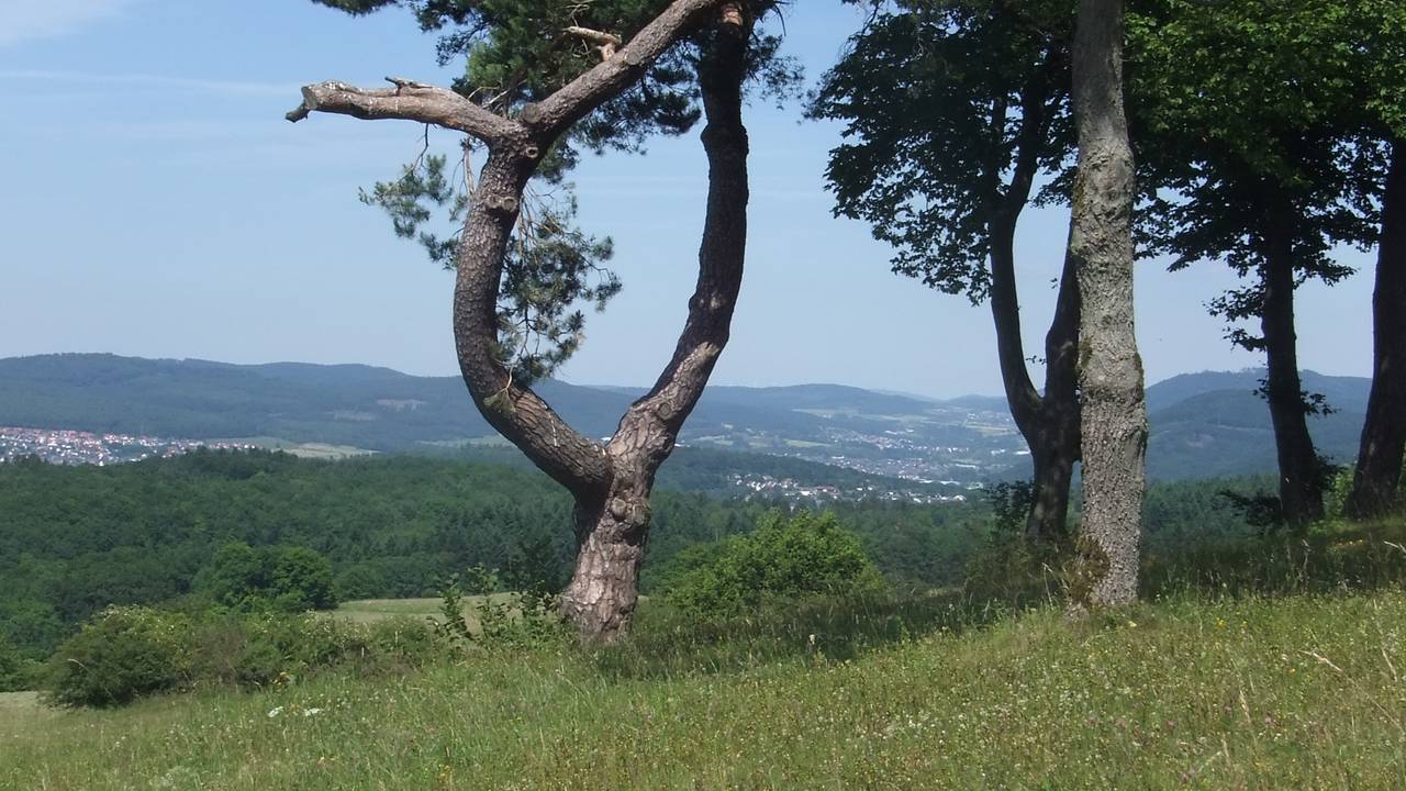Bild 15: Vom Rastplatz aus genießen wir den »Taunusblick«