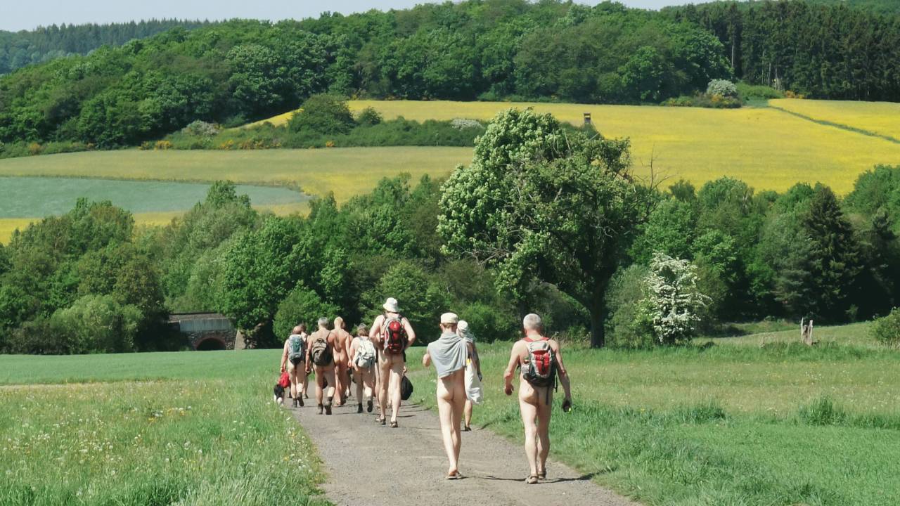 Überall zeichnen die blühenden Rapsfelder die Landschaft <i>- Photo: Horst</i>