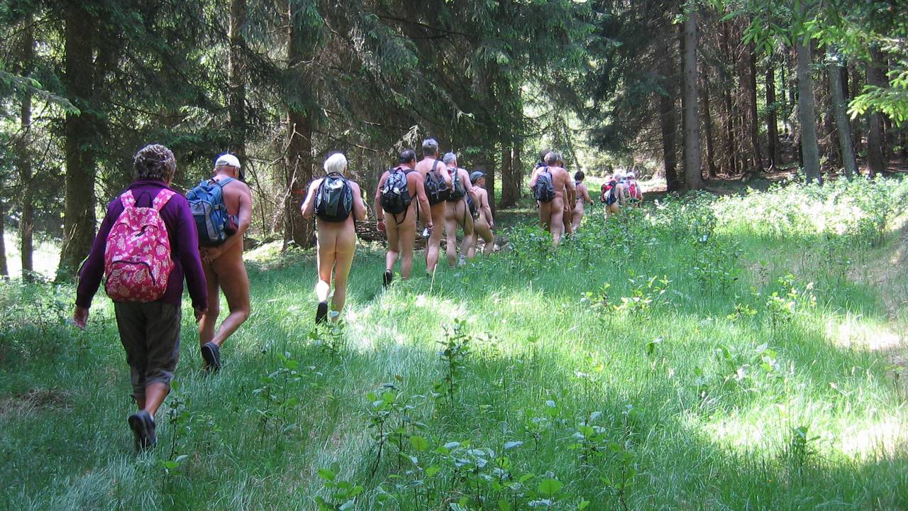 Die Wanderwege sind sehr naturnah und besitzen eine erhebliche Zeckendichte <i>- Foto: Anne</i>