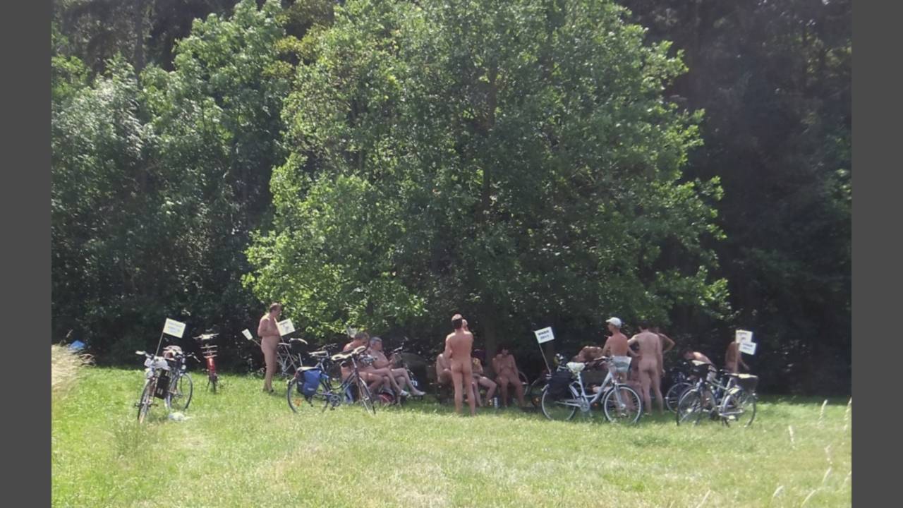 Die Fahrräder trugen fast alle Fähnchen mit WNBR-Aufschrift <i>- Foto: Thomas</i>