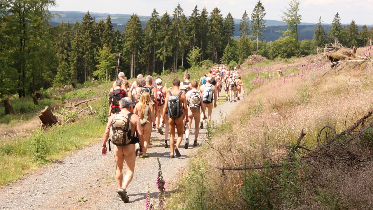 Auch hier sind noch Spuren des Orkans Kyrill in der Landschaft zu sehen