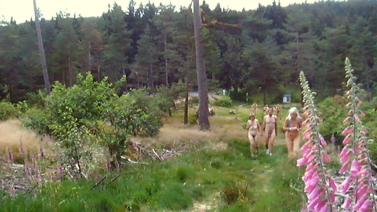 Anschließend geht es den Berg hinan