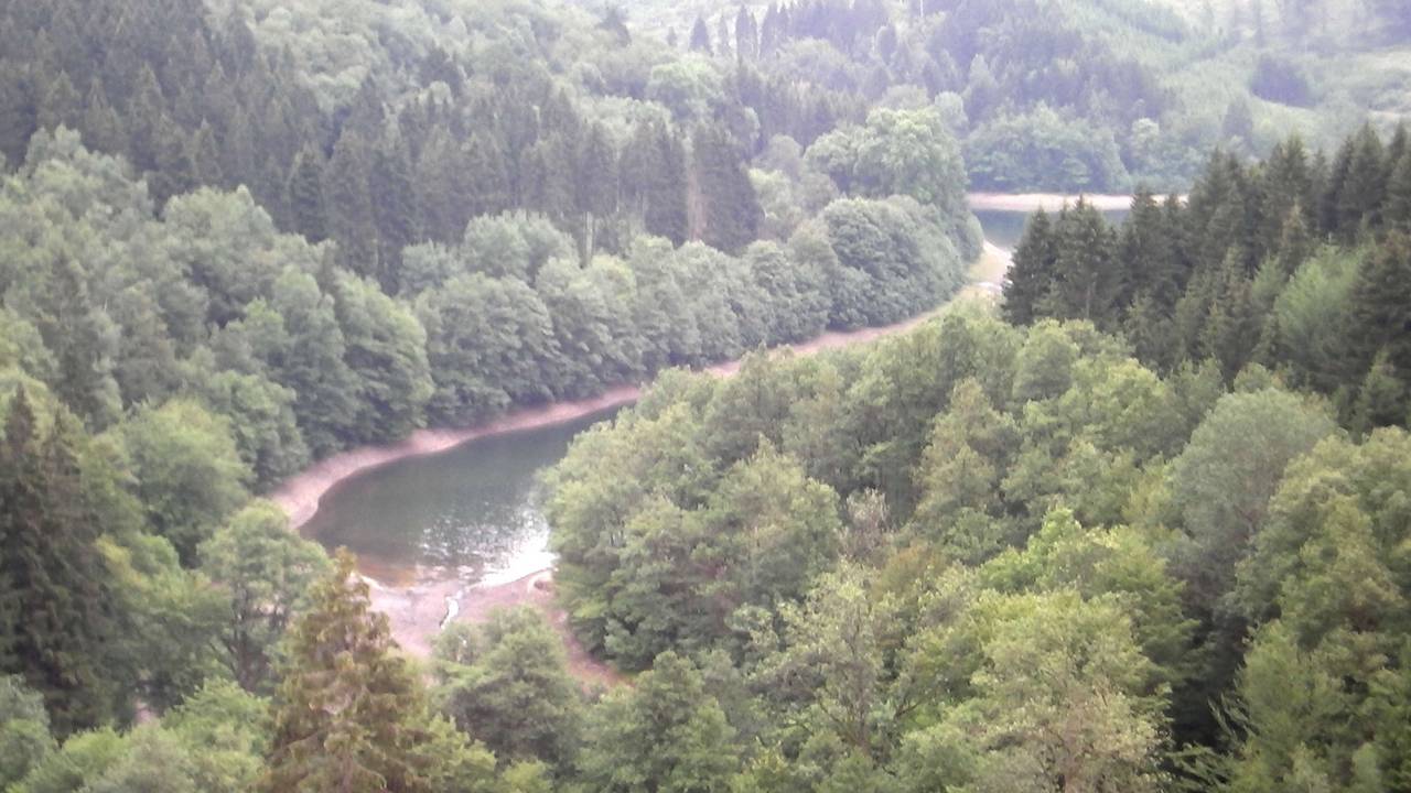 Weit oben trafen wir dann den einsamen Hund, der sich selbständig gemacht hatte.