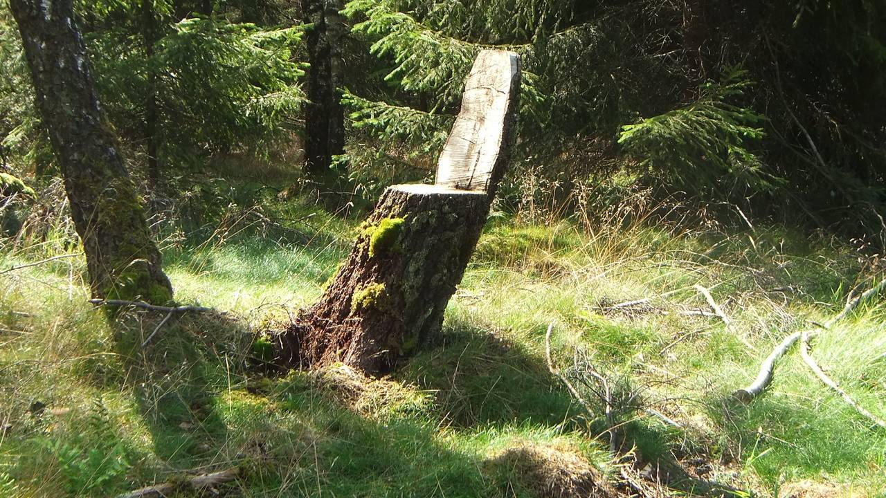 Die Ruheplätze für müde Wanderer stehen im Westerwald recht vereinzelt
