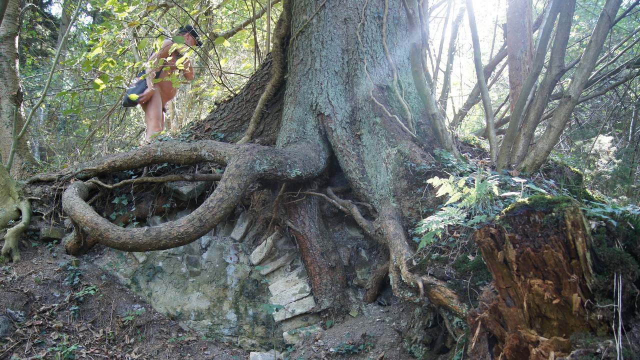 Der Mensch, sein Handwerk und die Kräfte Natur treffen im Teutoburger Wald zusammen.