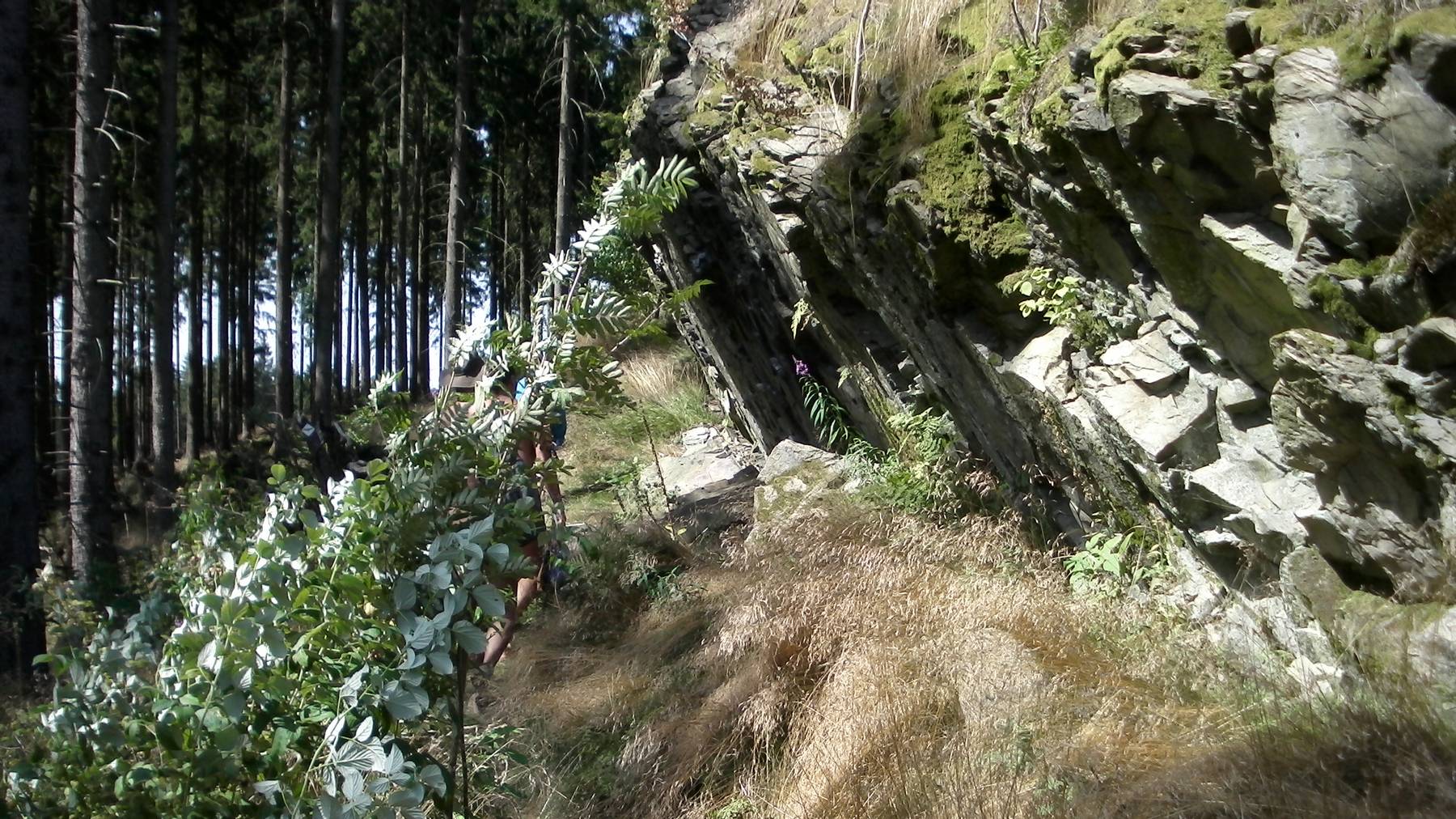 Wir dolgtem dem Wittgensteiner Schieferweg