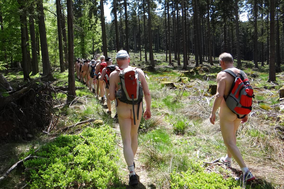 Wandern im sonnendurchstrahlten, lichten Wald <i>Foto: Bernd</i>