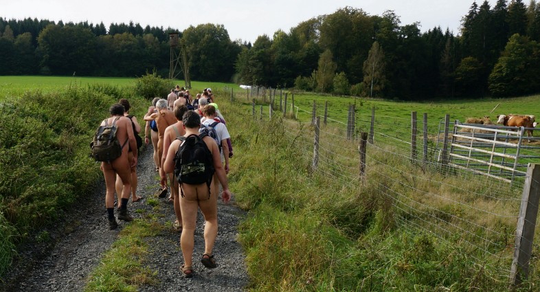 Wanderung im Burgwald Wanderung im Burgwald
