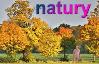 natury bericht lipo