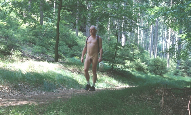 Statt Klettererlebnis - Waldspaziergang muss reichen