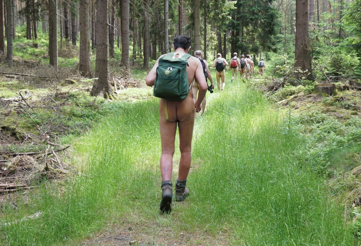 Im Holzland