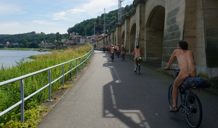 Elberadweg Königstein
