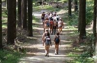 2017 08 08 Wandern