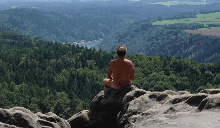 Panorama mit Elbblick