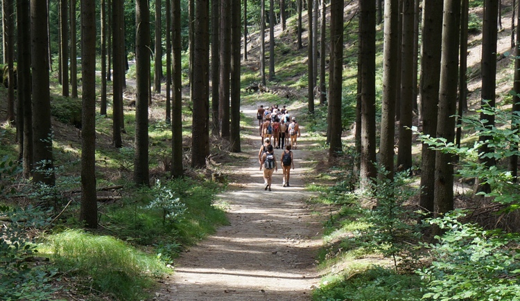 Oder doch Wandern