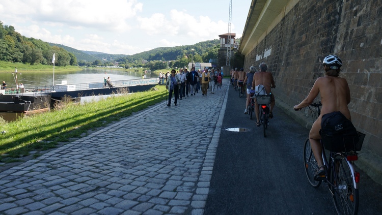 Der Elberadweg in Königstein am Fähranleger Halbestadt