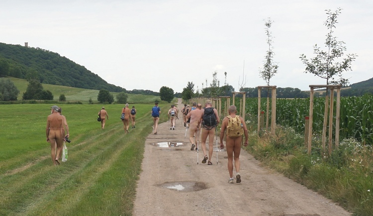 Zwischen Wachsenburg und Mühlenburg