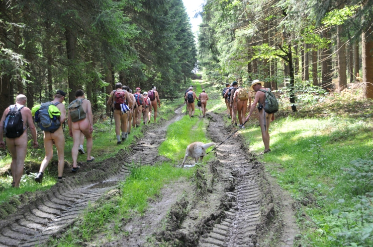 Schwere Wegeschäden durch Maschinen
