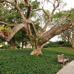 201802 007 west-palm-beach botanical-garden01