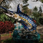 201802 007 west-palm-beach botanical-garden07