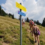 [de]Marathon-Strecke: Bitte im Laufschritt![en]Marathon route: Please run!