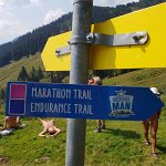 [de]Das Foto täuscht: Es geht weiter bergan[en]The photo is deceptive: it continues uphill