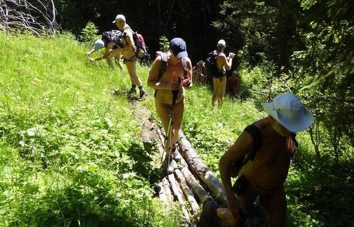 Durch den Wenger Wald