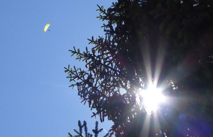 Blick in den blauen Himmel