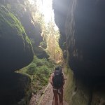 [de]Aufstieg in neblig feuchter Luft[en]Ascent in misty humid air
