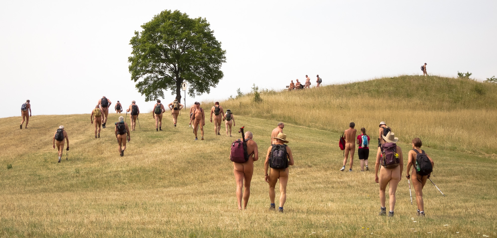 Jul 16: In breiter Front bewegt sich die Wandergesellschaft auf der Wiese