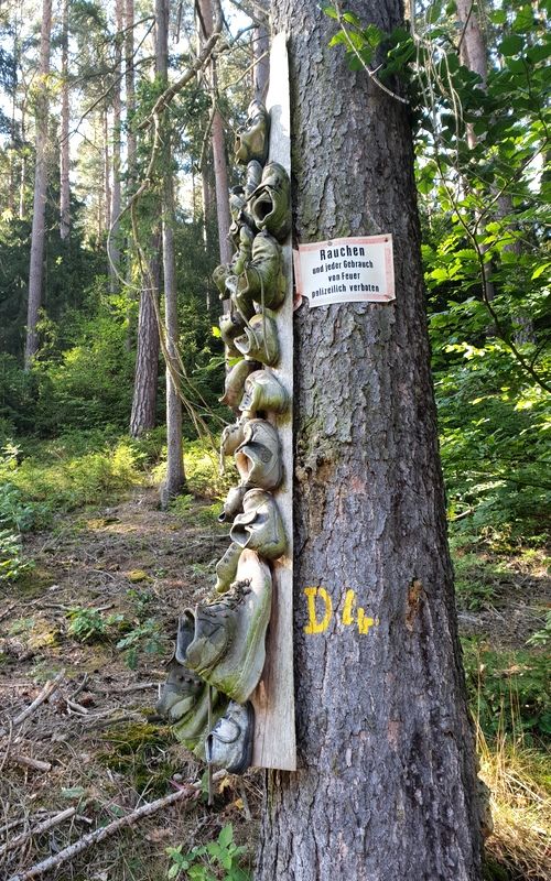20180717 Zum Baeume Hochlaufen