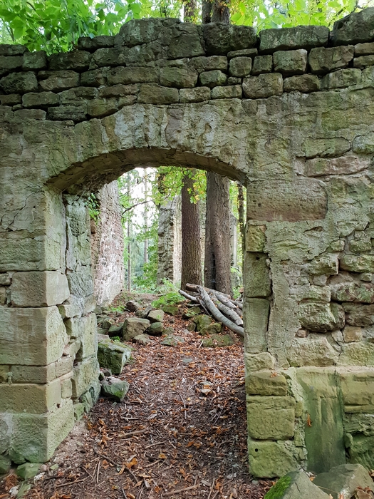 20180725 Der Wald baut weiter wo der Mensch aufhoert 20180725 Der Wald baut weiter wo der Mensch aufhoert