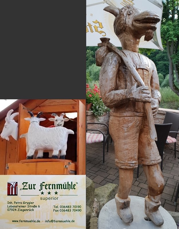 20180723 Der Ziegenbock auf Wanderschaft 