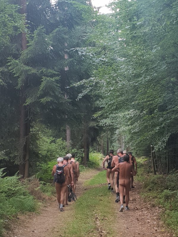 Zehn nackte Wanderer, die gingen durch den Wald