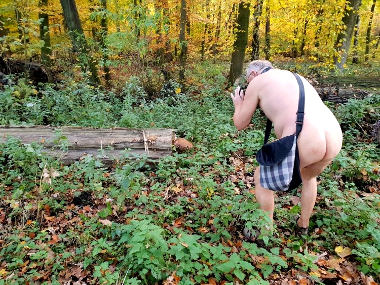 20181107 Welcher Pilz waechst denn da