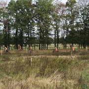 Di 11 Emsauen[en]Tue 11 Ems meadows