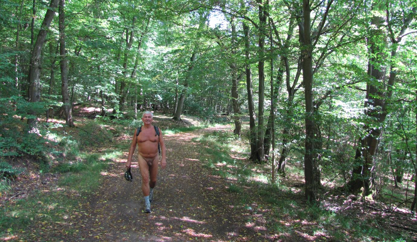 Der Thüringer Wald strahlt seine wohltuende Atmosphäre aus