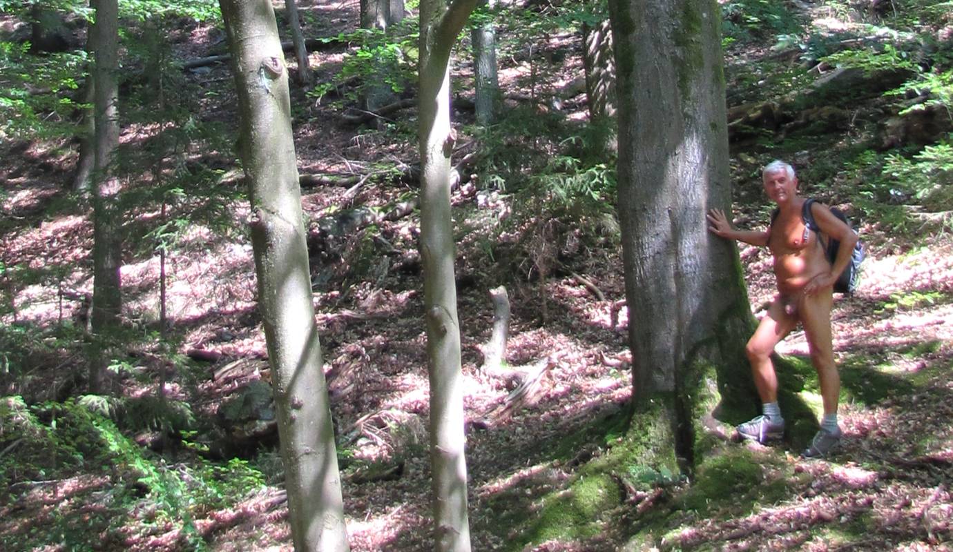 Mein Freund, der Baum - ich lausche deiner Botschaft