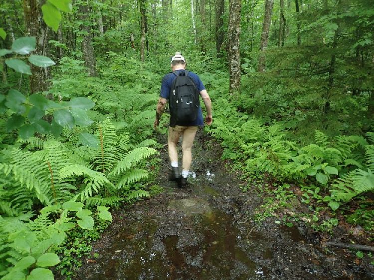 Naked Hiking Day in Vermont: Ben, nachdem er ausgerutscht ist.